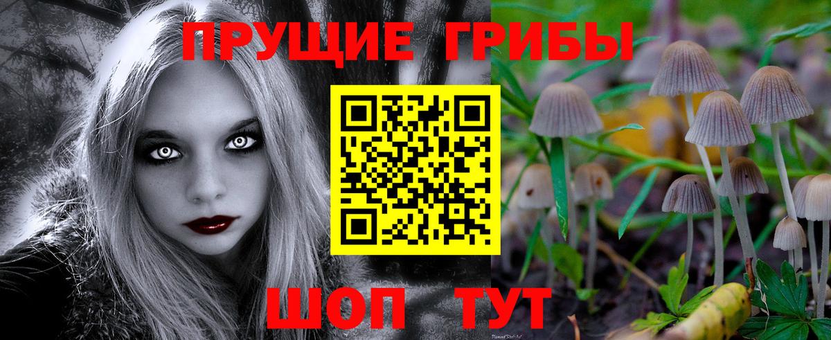 Псилоцибиновые грибы мицелий  Вход с VPN  Фурманов 